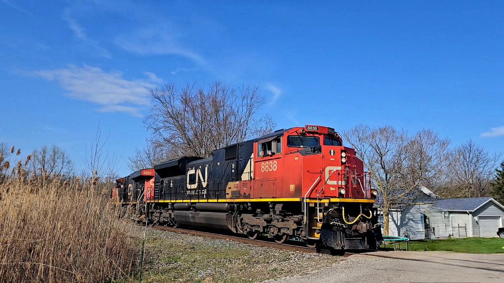 CN 8838